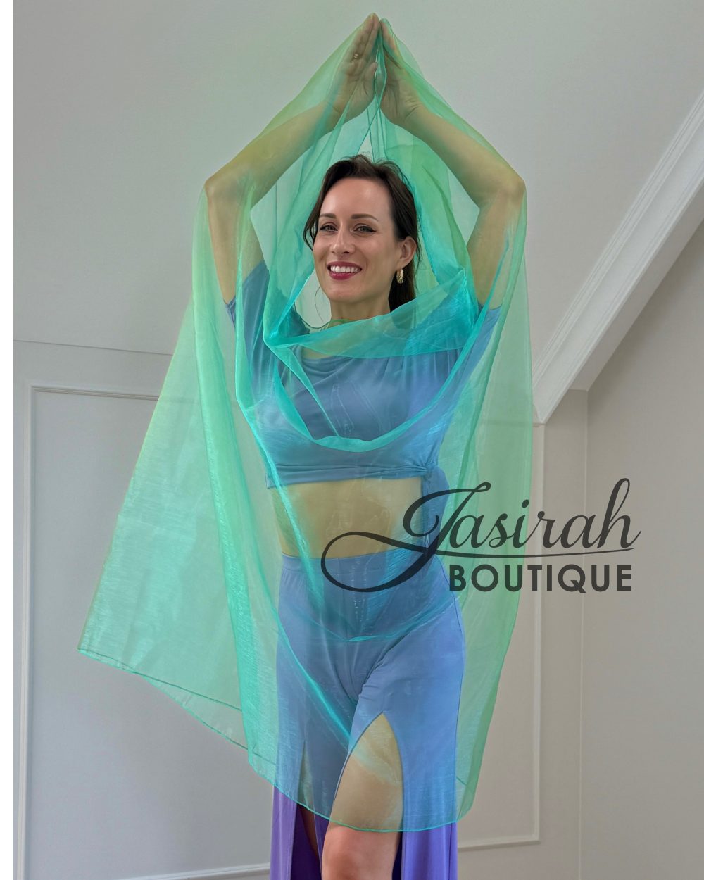 TWO-TONE ORGANZA VEIL